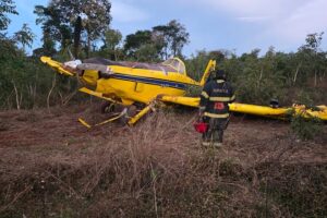 avião agrícola cai perto de avenida em mt