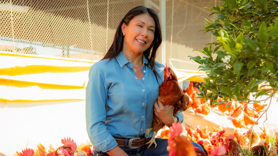 Com Brasil a caminho do Top 10 mundial em consumo de ovos, o mercado brasileiro vive uma trajetória ascendente sem precedentes na história recente do setor agroalimentar. A estimativa oficial aponta que o país alcançará a marca de 300 ovos consumidos por habitante até o final de 2026, consolidação que projeta o Brasil para o grupo dos dez maiores consumidores globais dessa proteína. Paralelamente à busca por um alimento de alto valor nutricional e custo acessível, os consumidores passaram a exigir atributos de qualidade superior nas gôndolas, impulsionando a demanda por produtos que entreguem uma experiência sensorial diferenciada no cotidiano.