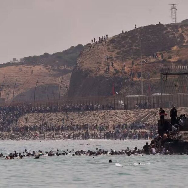 ap26211549930119