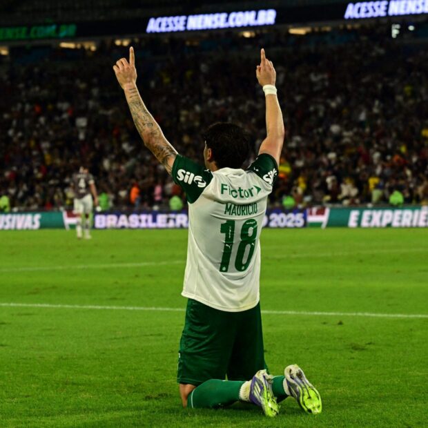 fbl bra fluminense palmeiras