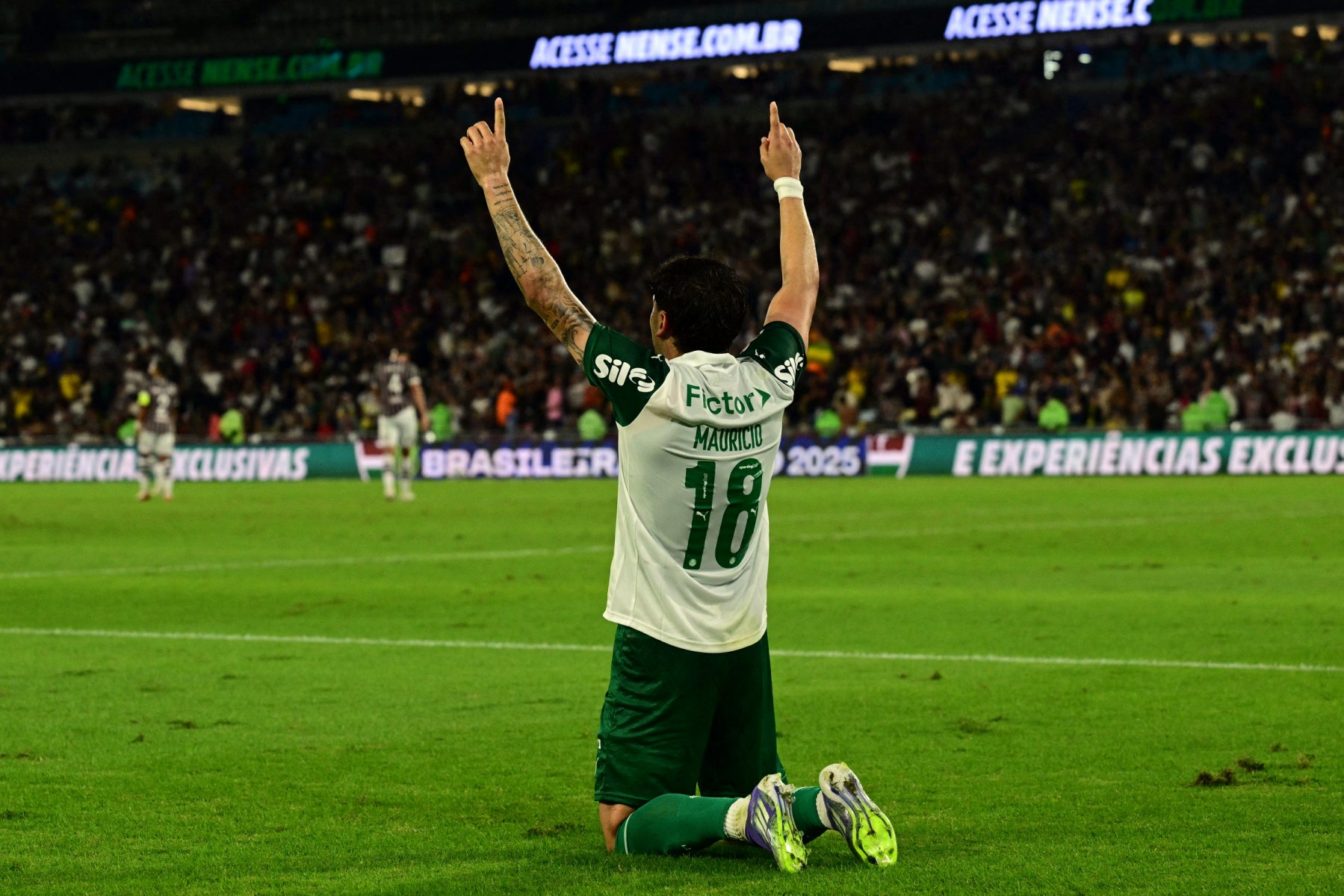 fbl bra fluminense palmeiras