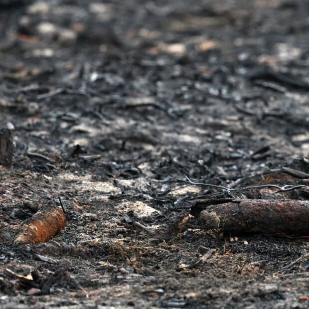 france history wwii shell wildfires