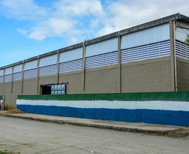 criança de 11 anos morre após sofrer contusão na cabeça em escola em sp