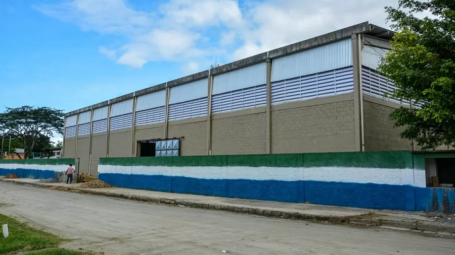 criança de 11 anos morre após sofrer contusão na cabeça em escola em sp