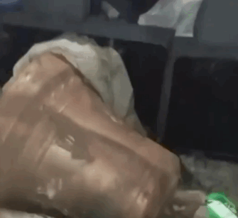 captura de tela 2026 08 05 115238