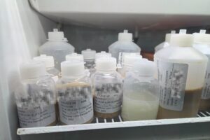 fotos para matéria (1)