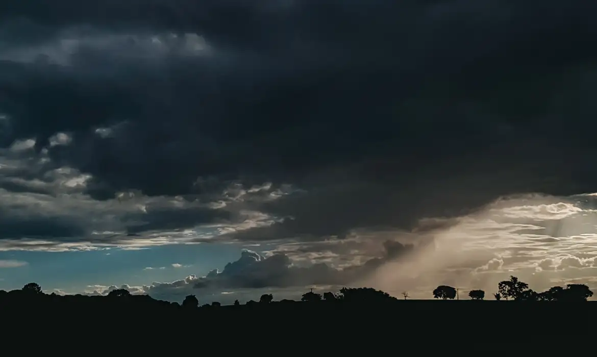 v0030538