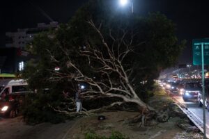 brazil weather windstorms
