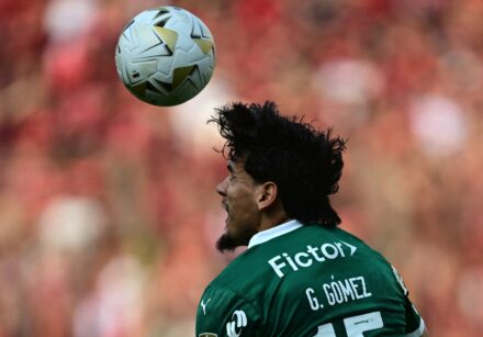 fbl libertadores palmeiras flamengo