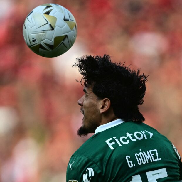 fbl libertadores palmeiras flamengo