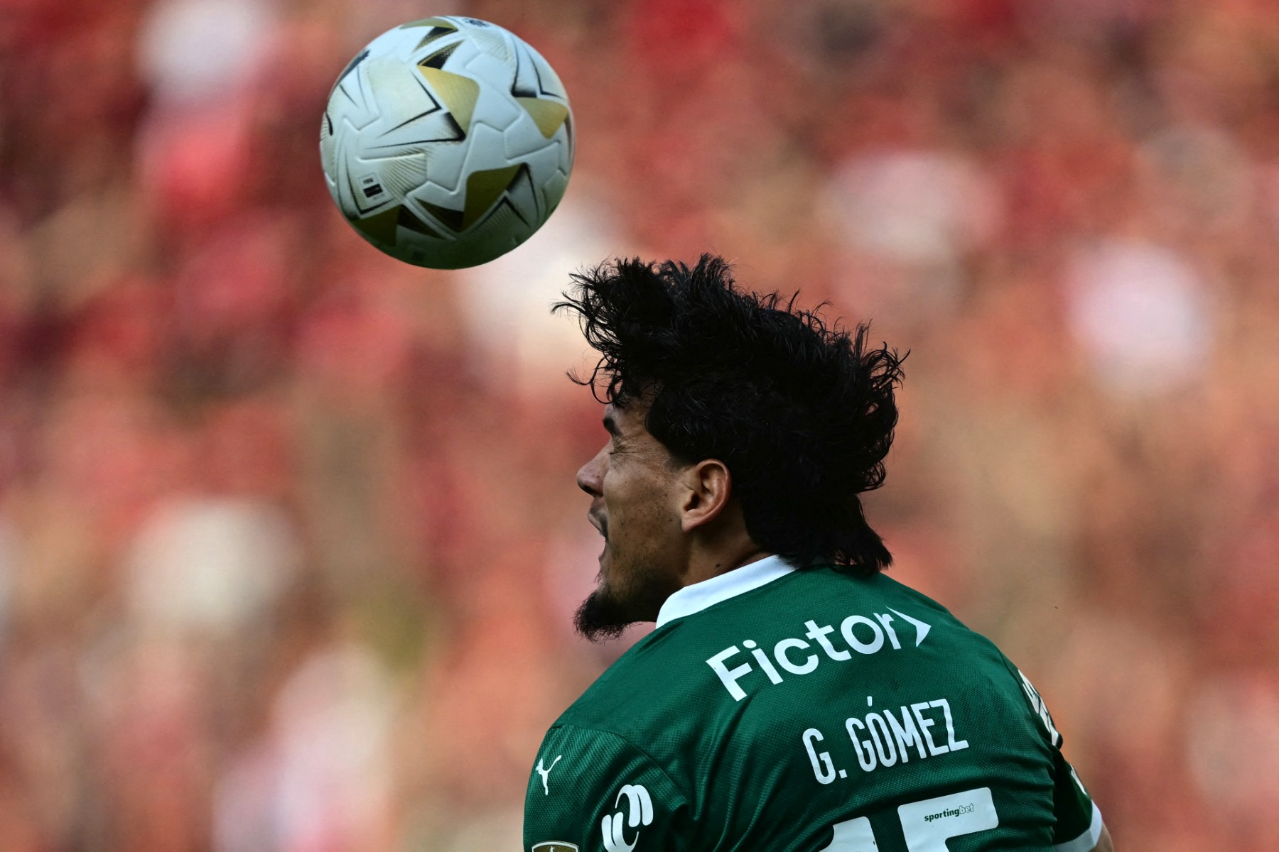 fbl libertadores palmeiras flamengo