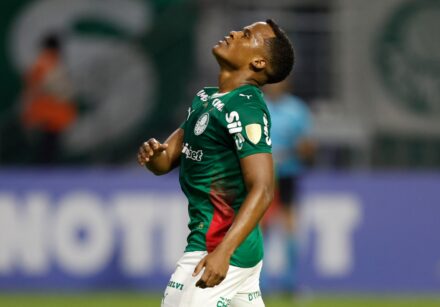 fbl libertadores palmeiras cerroporteno