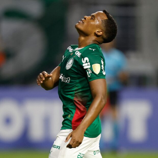 fbl libertadores palmeiras cerroporteno