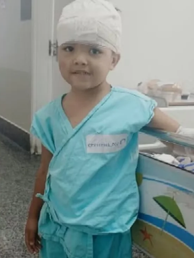 captura de tela 2026 08 12 072739