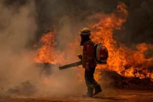 incendios sp ciclo vivo