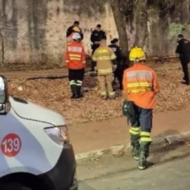 mulher esfaqueada ceilandia