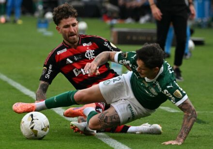 fbl libertadores palmeiras flamengo