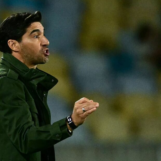 fbl bra fluminense palmeiras