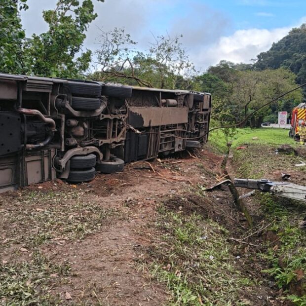 brazil accident crash