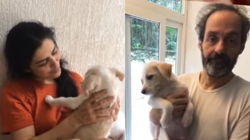Defesa afirma que veterinária confessou apropriação indébita e foi responsabilizada