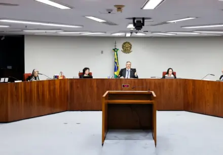 sem titulo 7