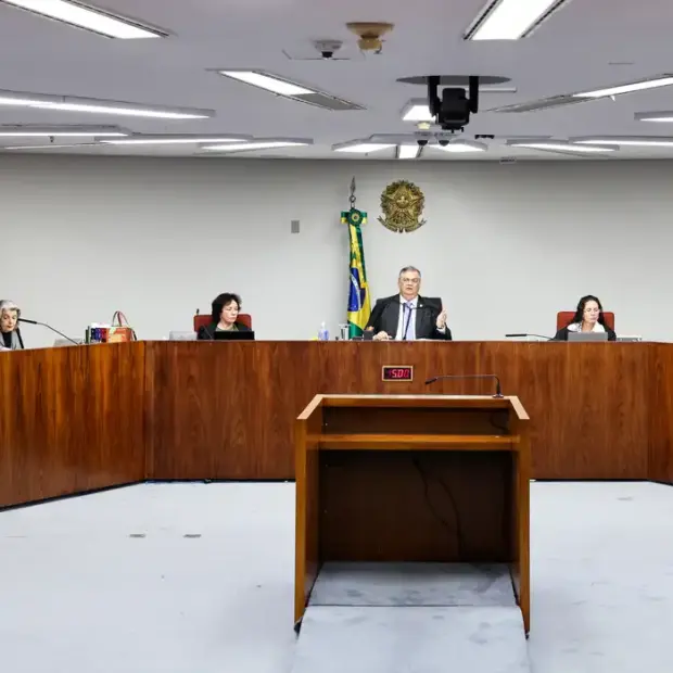 sem titulo 7