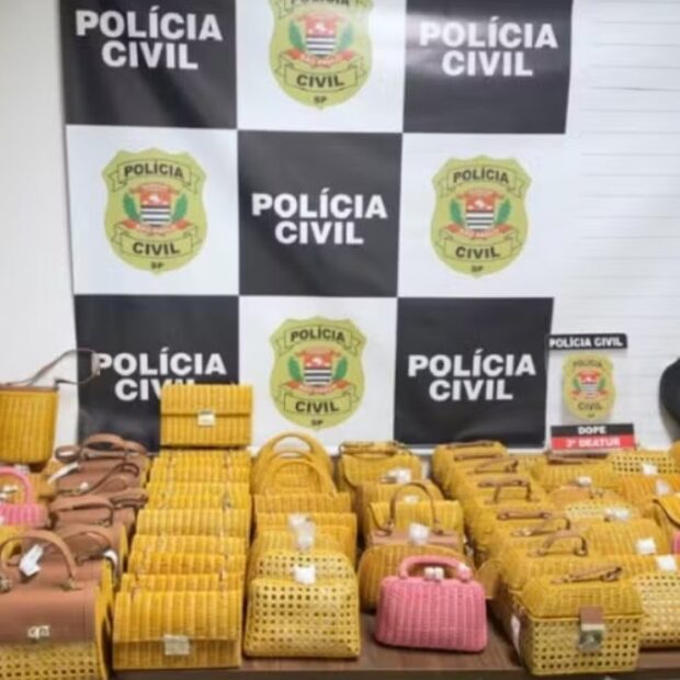 Polícia recuperou 113 bolsas da Serpui, avaliadas em cerca de R$ 260 mil, mas outras 731 peças da carga furtada continuam desaparecidas.