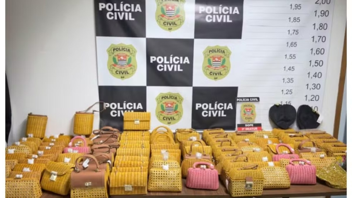 Polícia recuperou 113 bolsas da Serpui, avaliadas em cerca de R$ 260 mil, mas outras 731 peças da carga furtada continuam desaparecidas.