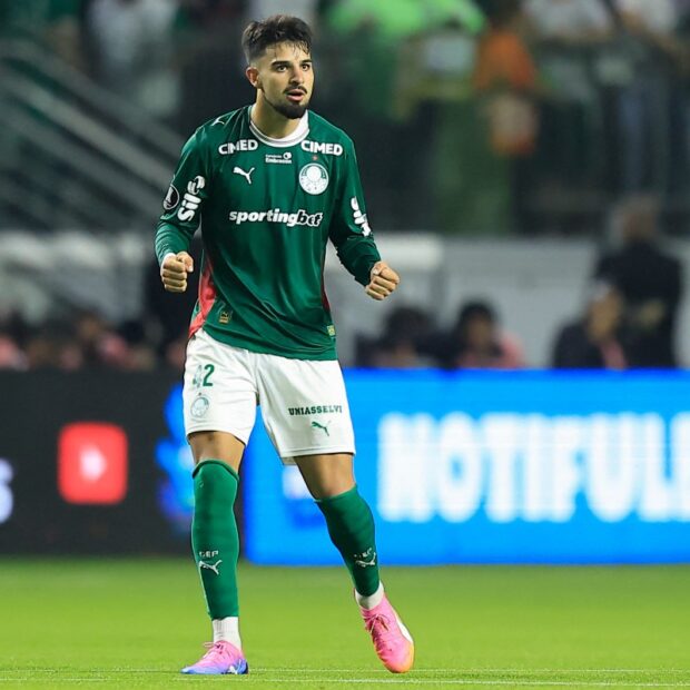 fbl libertadores palmeiras cerroporteno