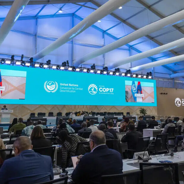cop 17