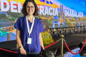 veterinária atacada por cão do senado