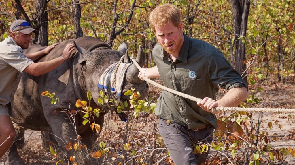 African Parks reconheceu violações de direitos humanos cometidas por alguns guardas

