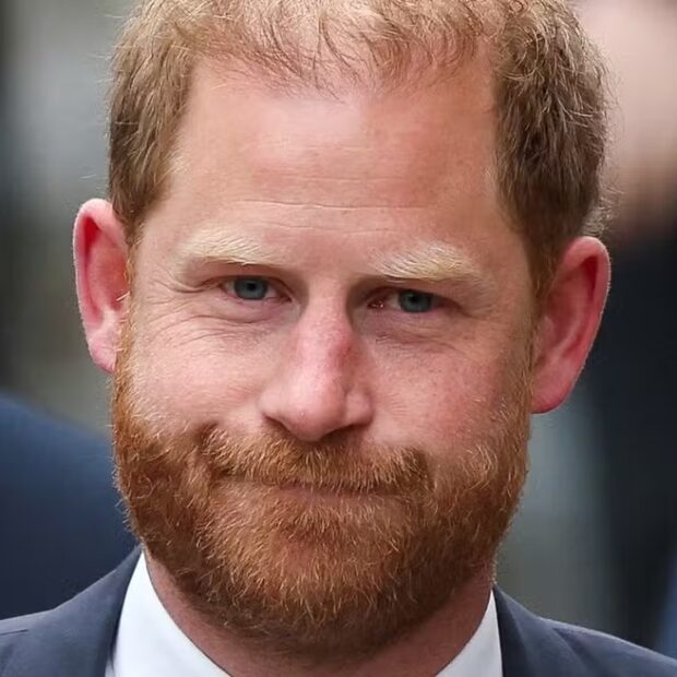 Príncipe Harry deixou o conselho da African Parks após uma década ligado à organização