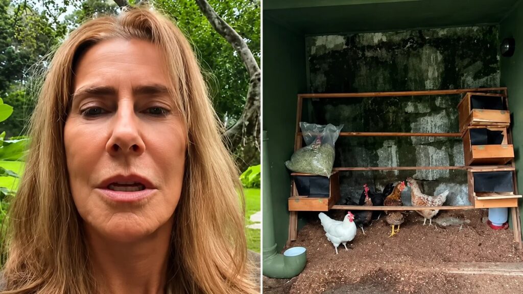 Atriz agora mora em casa cercada de área verde, com galinhas e minhocário
