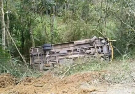 onibus escolar cai ribanceira