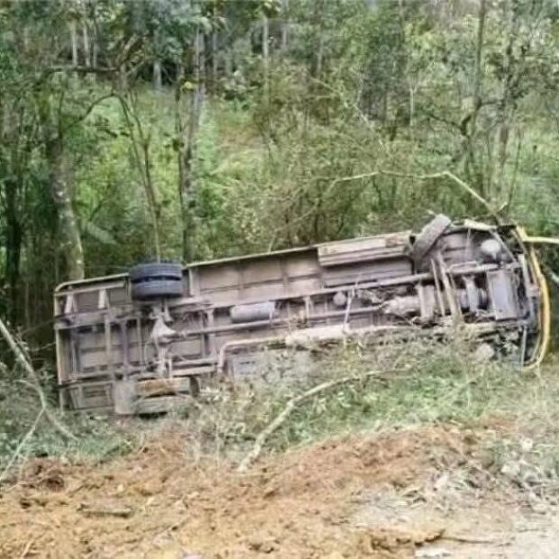 onibus escolar cai ribanceira