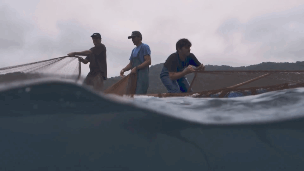 Filmado em Ilhabela, “Sabores da Sobrevivência” retrata uma família caiçara e os desafios para preservar tradição e sustentabilidade diante das transformações do mercado - Divulgação