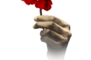 1yymojhtyhlzm602bj5icip2bwvncnb0byrmbhvgb6ytnwkdn3itowmjon5gcuewywqjmjbdz0mgnwemmxizn3kdnxygo4ejy1gjmjrdngjtjjrdngjtjxadoyejryuinyytmx8vl1etlf9vlwitlfpdm