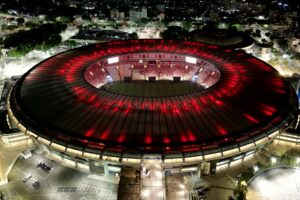 fbl libertadores palmeiras flamengo fans