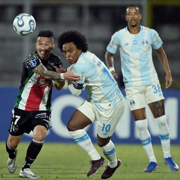 fbl sudamericana palestino gremio
