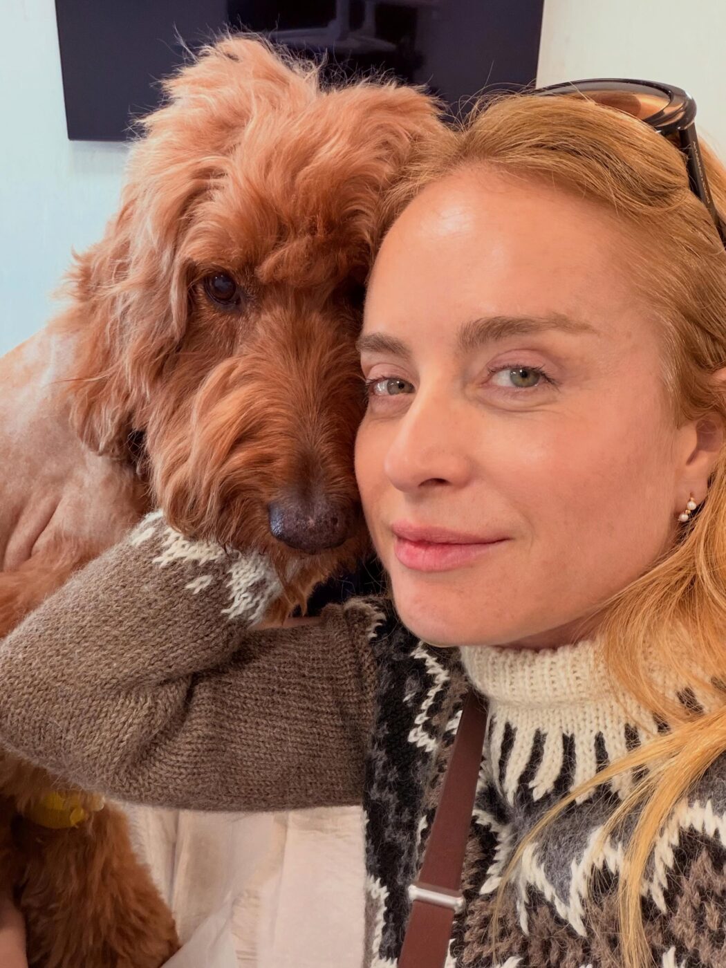 Angélica revelou que Gringa, sua Goldendoodle de 9 anos, recebeu um diagnóstico delicado e está passando por tratamento veterinário.