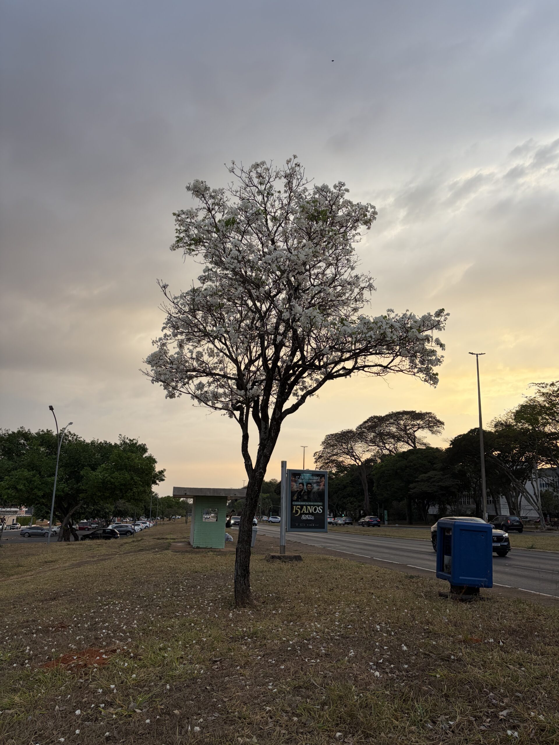 img 0011