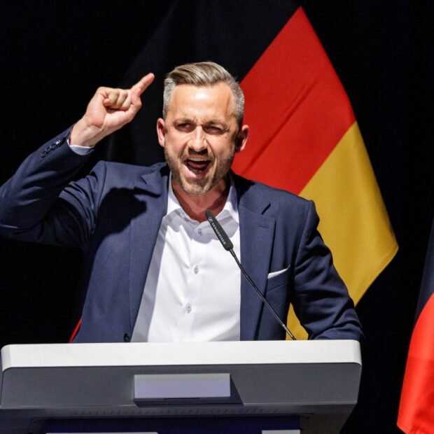 germany politics parties afd