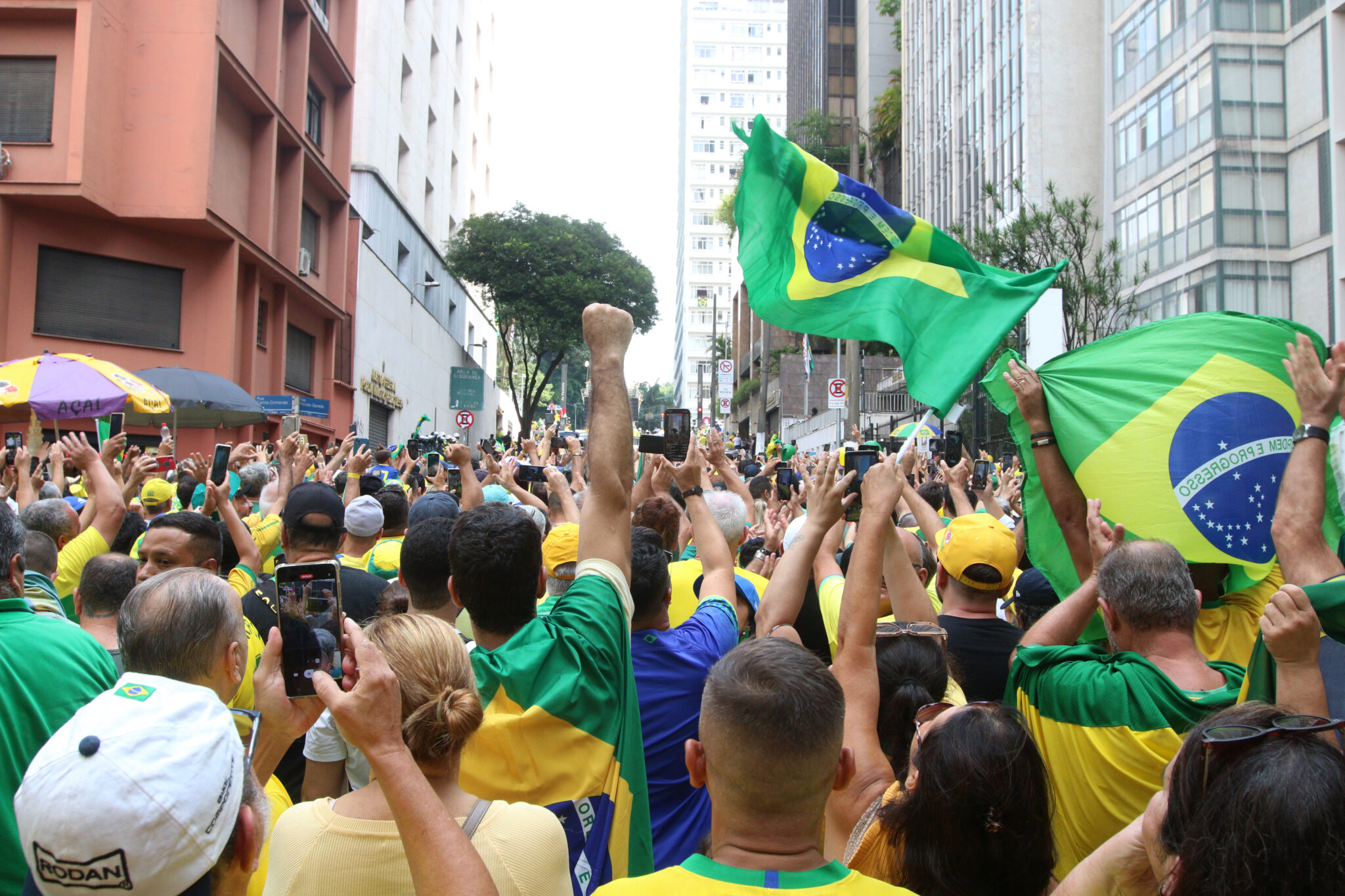 direita do brasil