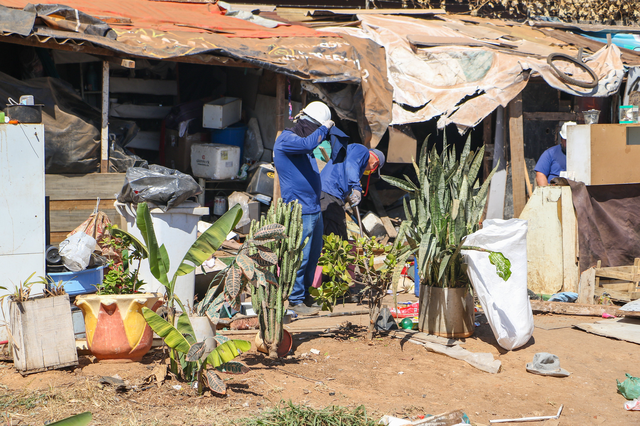 Brasília launches outreach and social assistance for unhoused residents