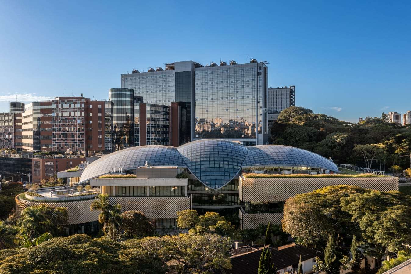 Estudo brasileiro mostra que remédio para hipertensão funciona melhor em mulheres