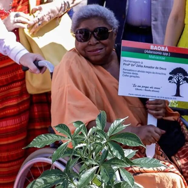 professora zelia amador de deus foto heloisa torres