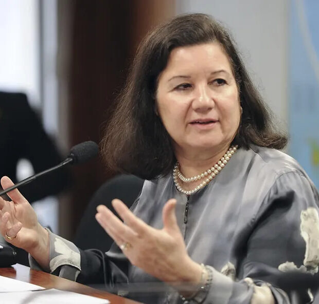 maria luiza ribeiro viotti