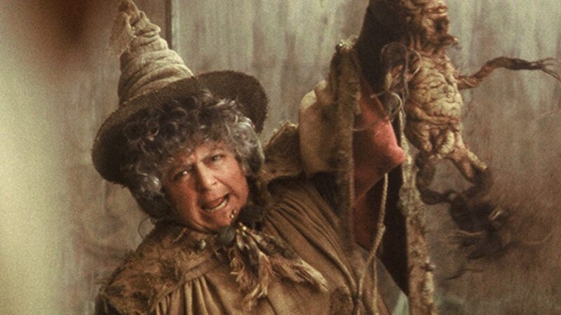 Miriam Margolyes expõe cachê de ‘Harry Potter’ e esbraveja: ‘É uma porcaria!’