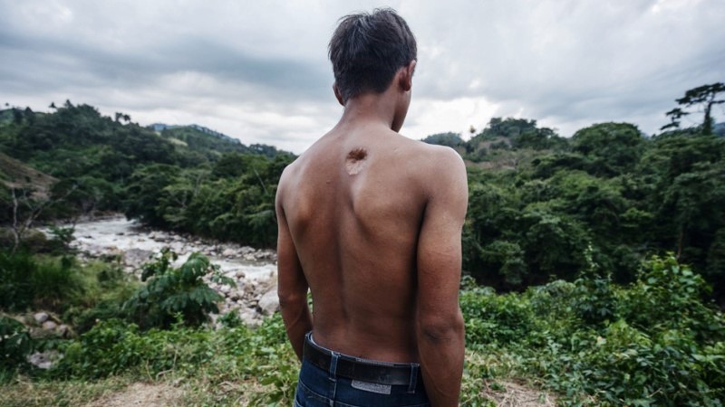 Brasil teve 26 assassinatos de ambientalistas em 2025 e ocupa 2° lugar em ranking global